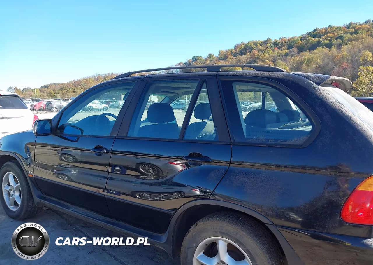 2002 BMW X5 3.0I VIN:5UXFA53582LP51889 - 16