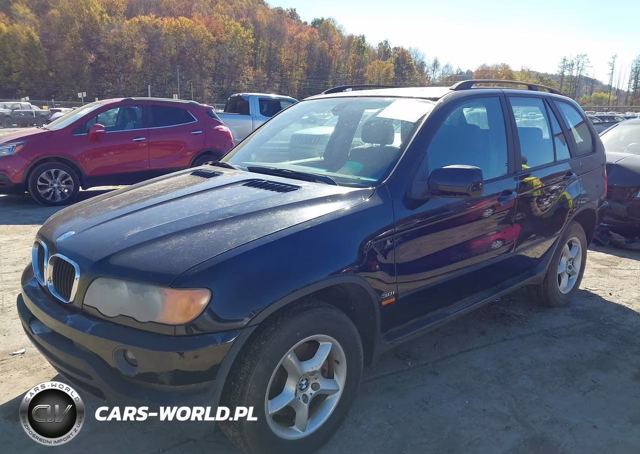2002 BMW X5 3.0I VIN:5UXFA53582LP51889 - 2