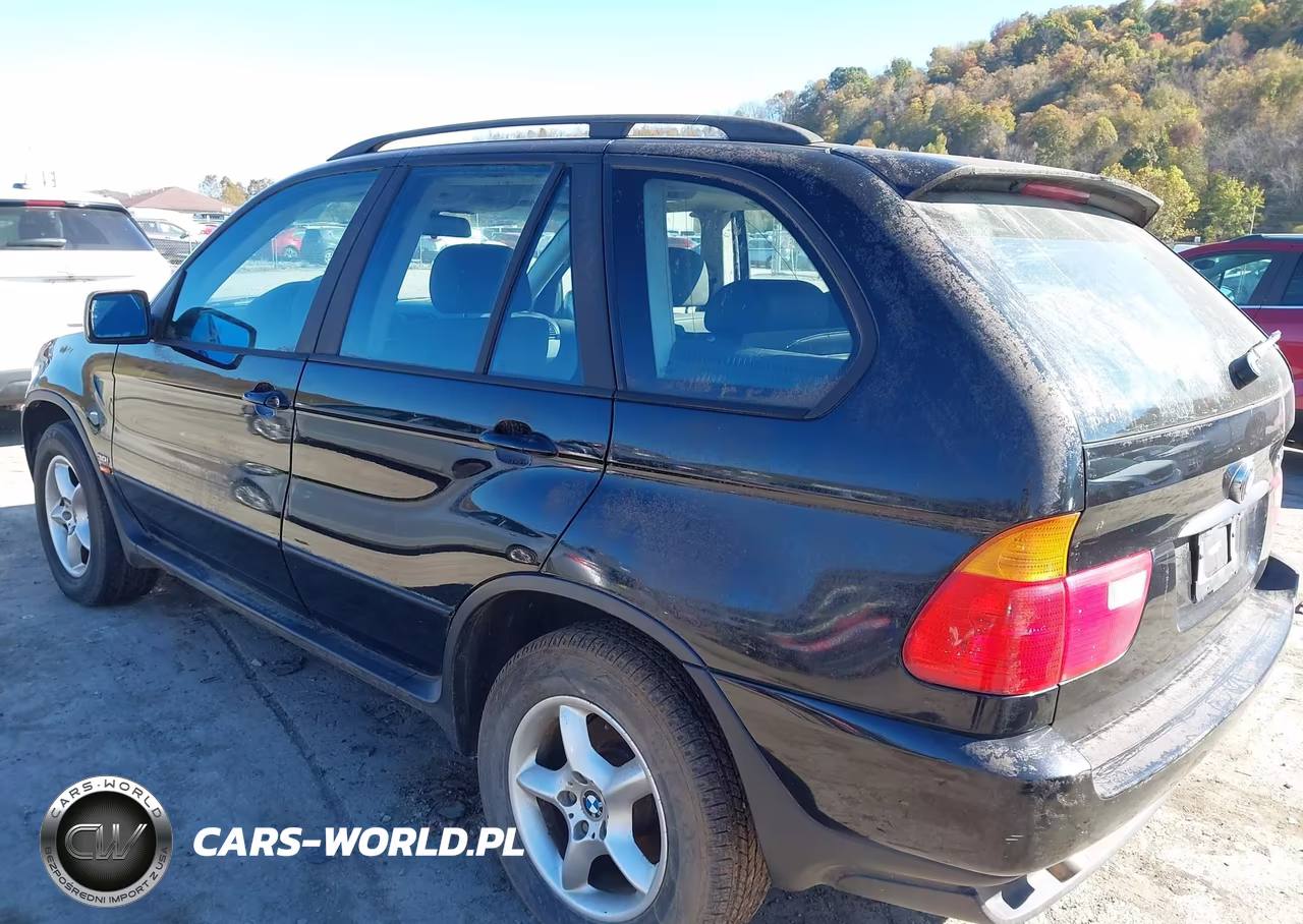 2002 BMW X5 3.0I VIN:5UXFA53582LP51889 - 3