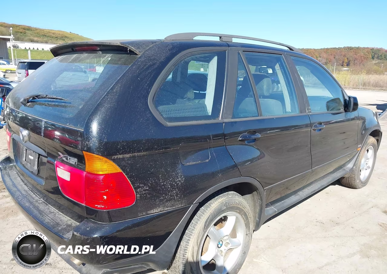 2002 BMW X5 3.0I VIN:5UXFA53582LP51889 - 4