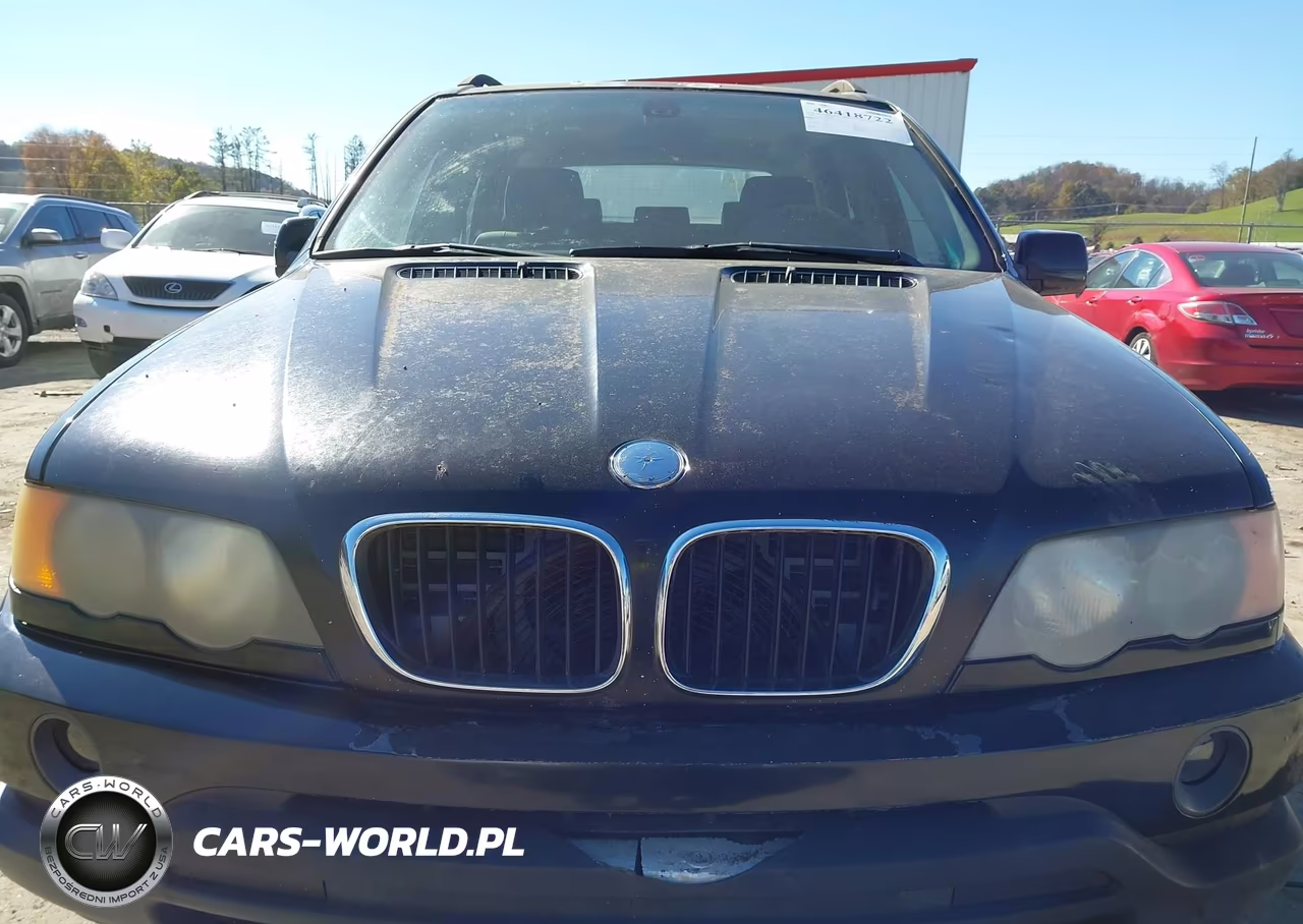 2002 BMW X5 3.0I VIN:5UXFA53582LP51889 - 6