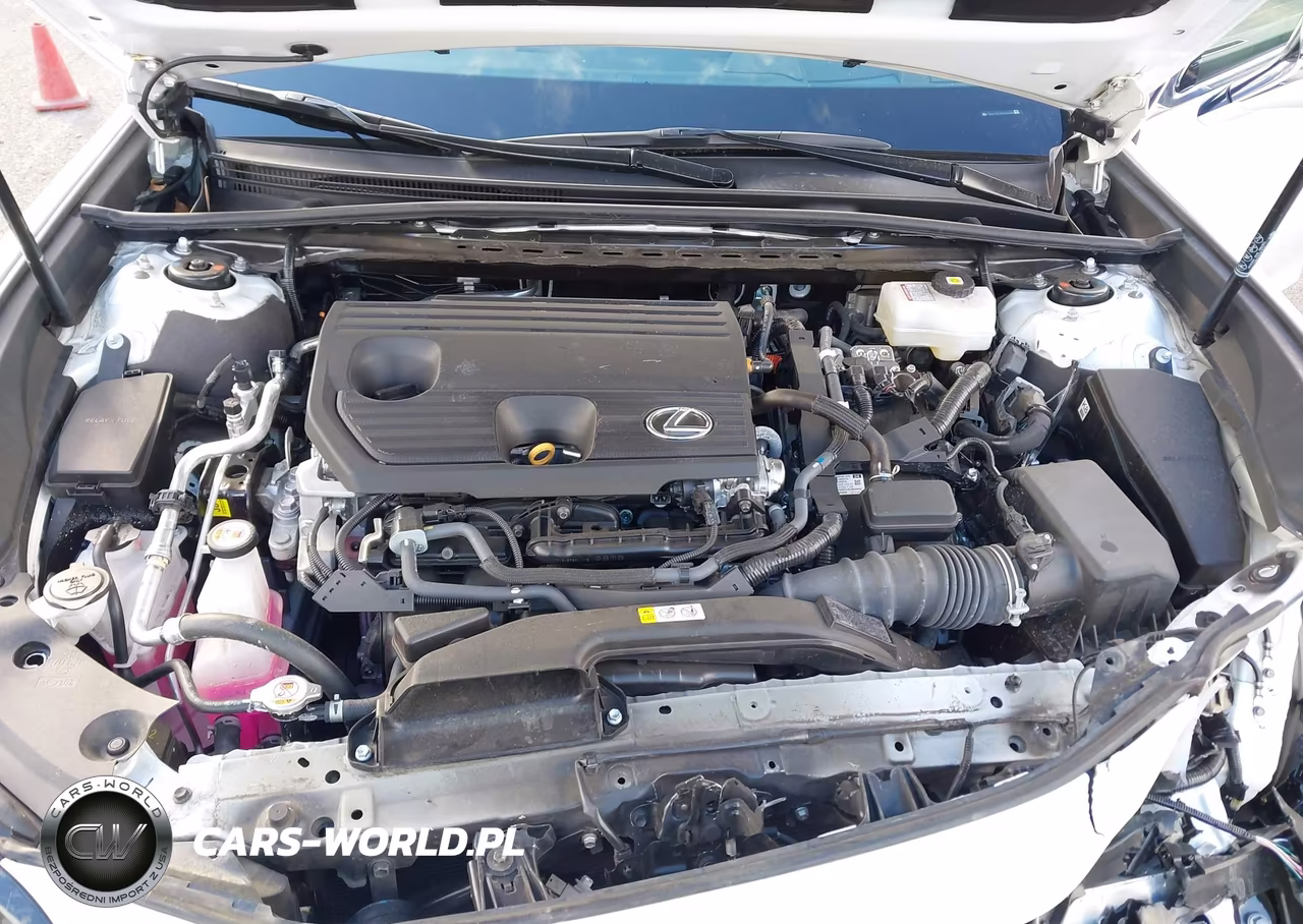 2024 Lexus Es 300H Luxury VIN:58AEA1C12RU050938 - 10