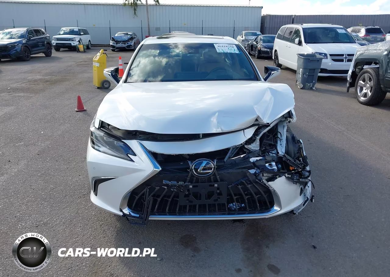 2024 Lexus Es 300H Luxury VIN:58AEA1C12RU050938 - 13
