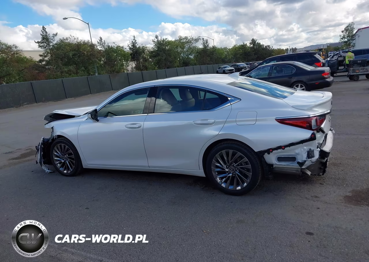 2024 Lexus Es 300H Luxury VIN:58AEA1C12RU050938 - 15