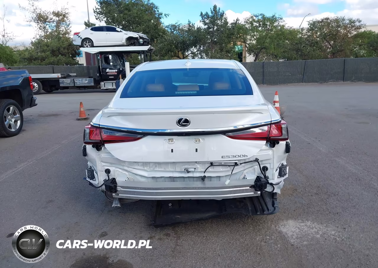 2024 Lexus Es 300H Luxury VIN:58AEA1C12RU050938 - 17