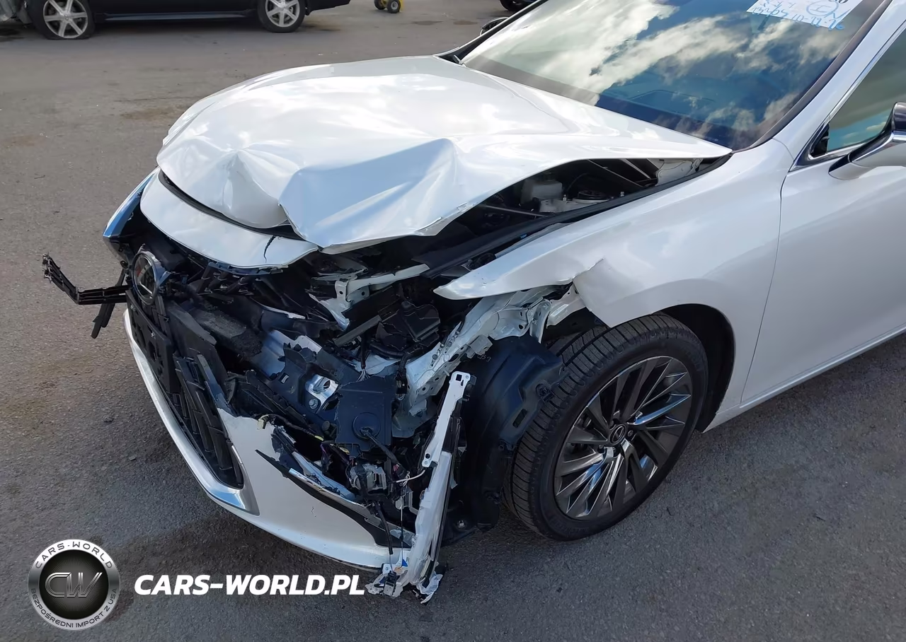 2024 Lexus Es 300H Luxury VIN:58AEA1C12RU050938 - 18