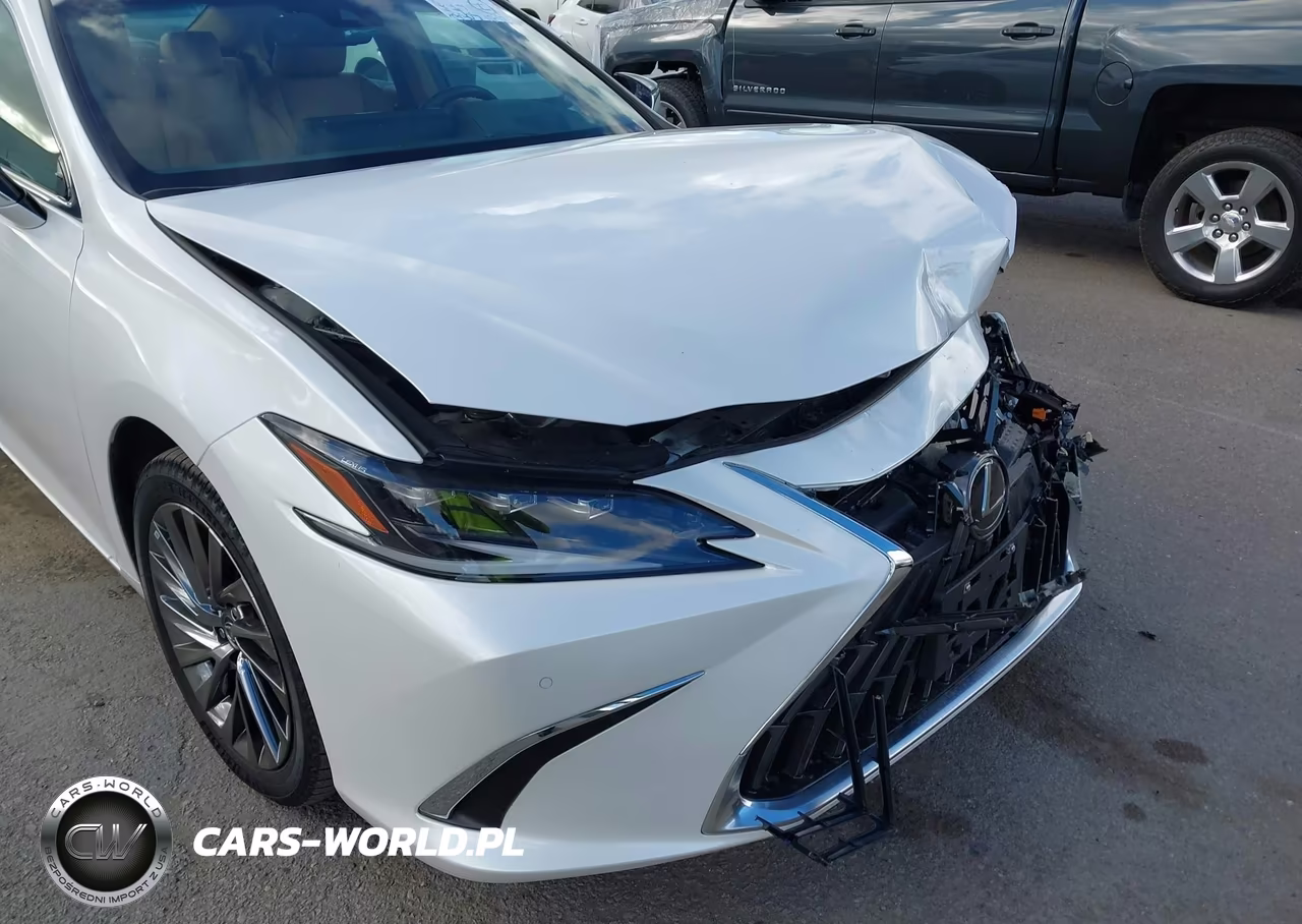 2024 Lexus Es 300H Luxury VIN:58AEA1C12RU050938 - 19