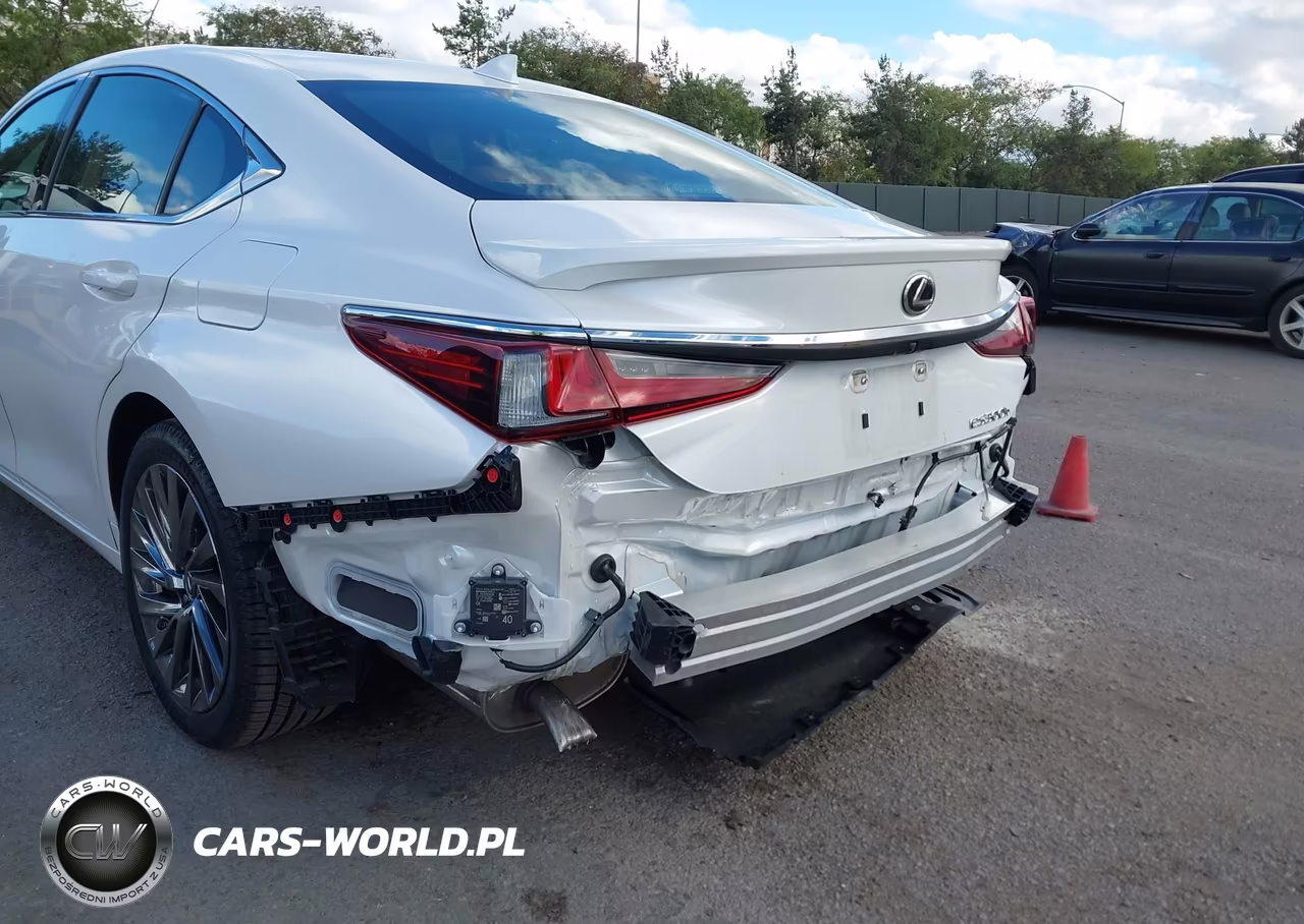 2024 Lexus Es 300H Luxury VIN:58AEA1C12RU050938 - 20