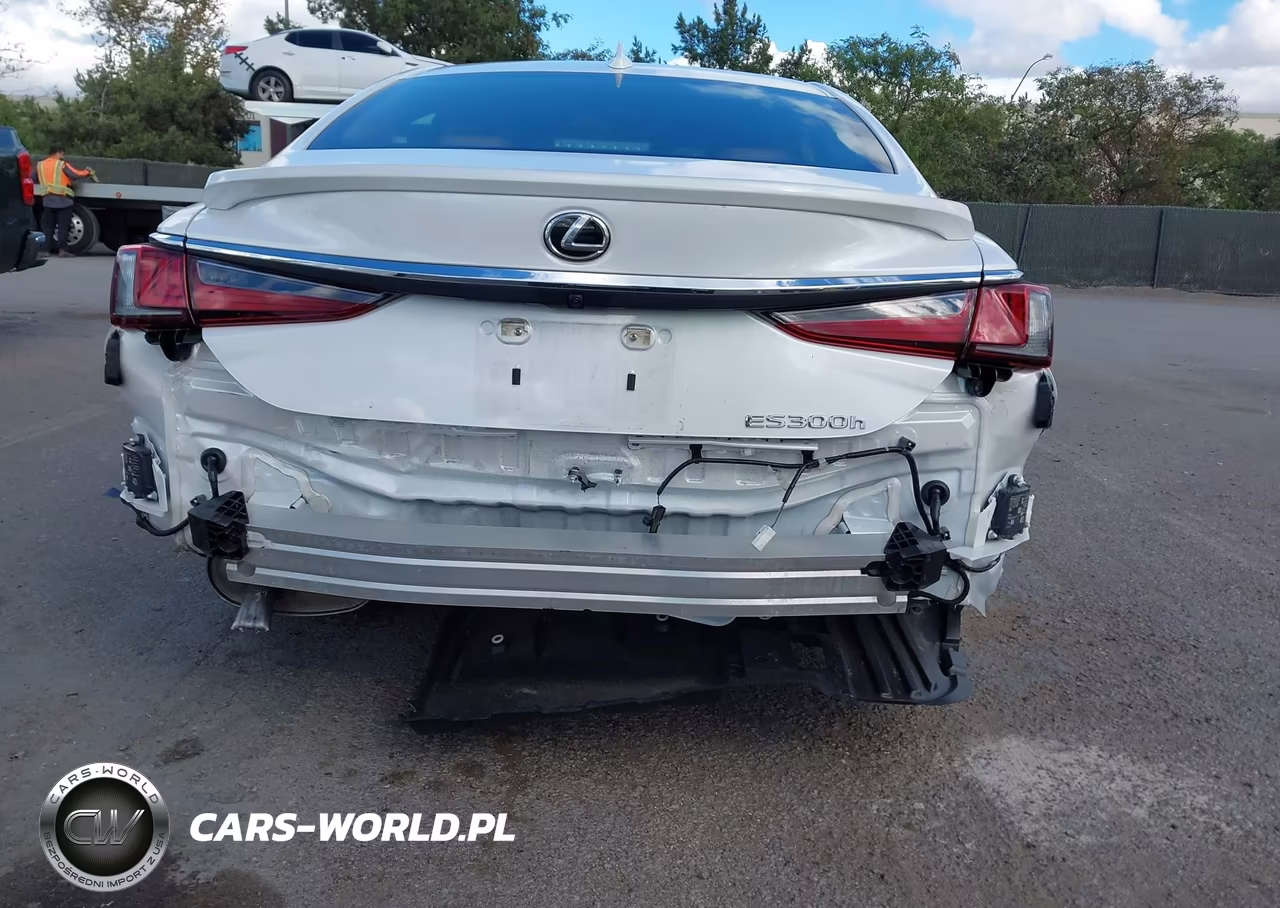 2024 Lexus Es 300H Luxury VIN:58AEA1C12RU050938 - 21
