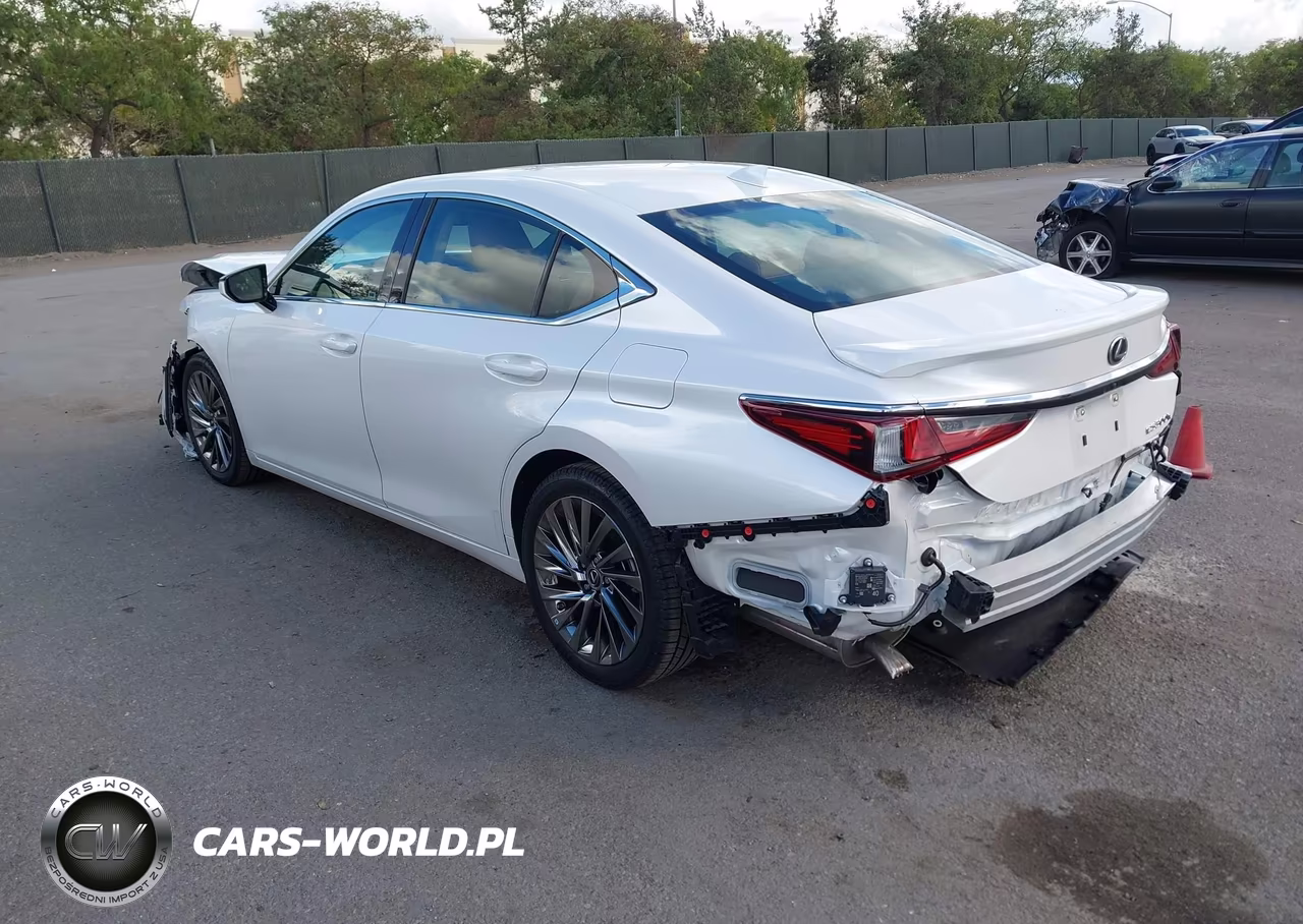 2024 Lexus Es 300H Luxury VIN:58AEA1C12RU050938 - 3