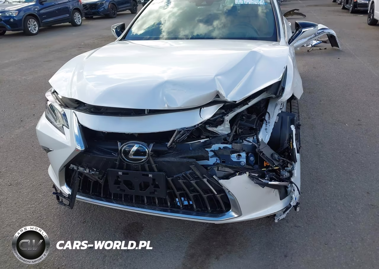 2024 Lexus Es 300H Luxury VIN:58AEA1C12RU050938 - 6