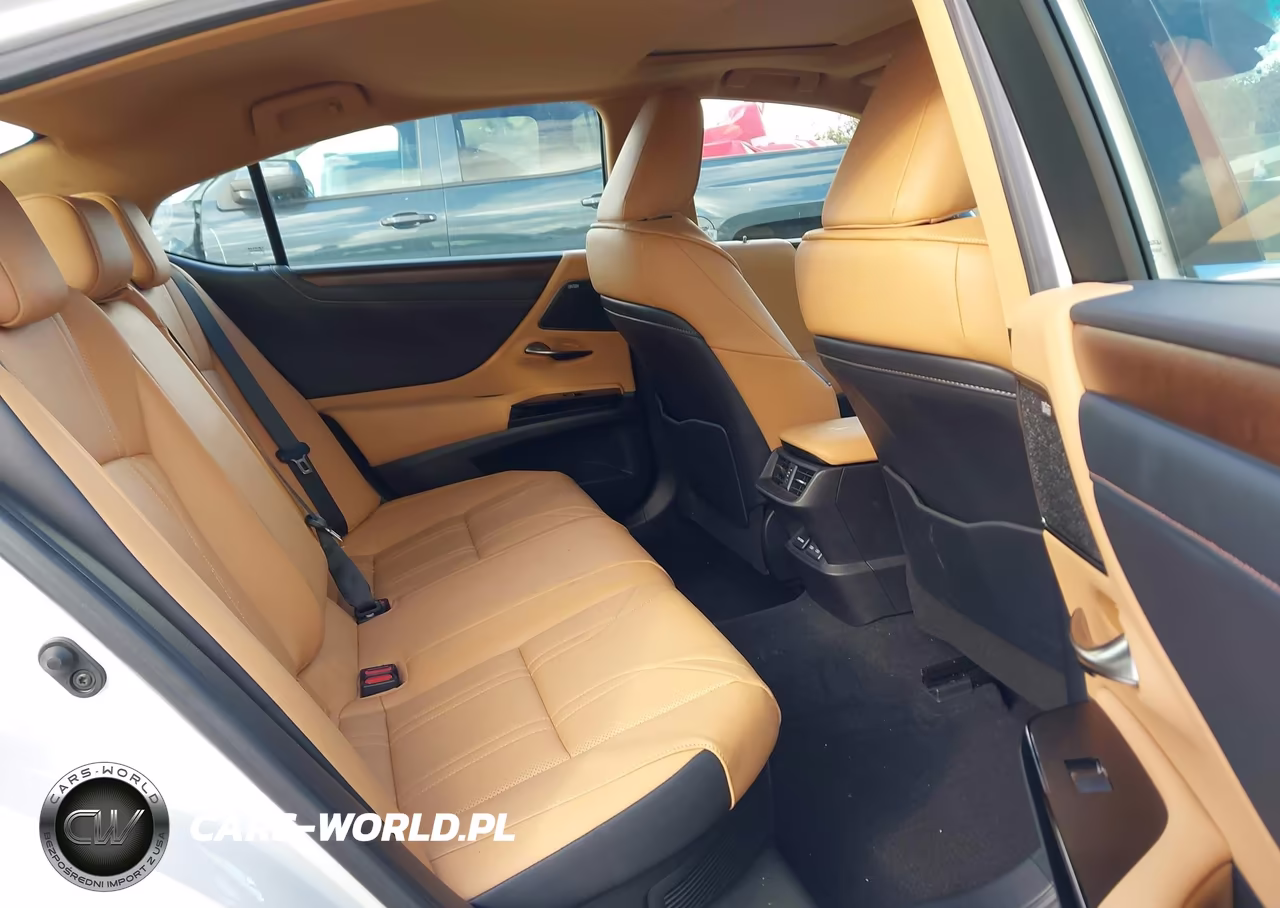 2024 Lexus Es 300H Luxury VIN:58AEA1C12RU050938 - 8