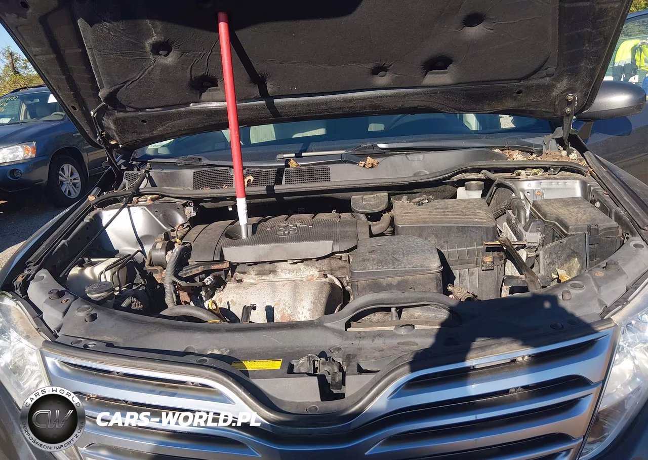 2010 Toyota Venza VIN:4T3ZA3BB5AU034548 - 10