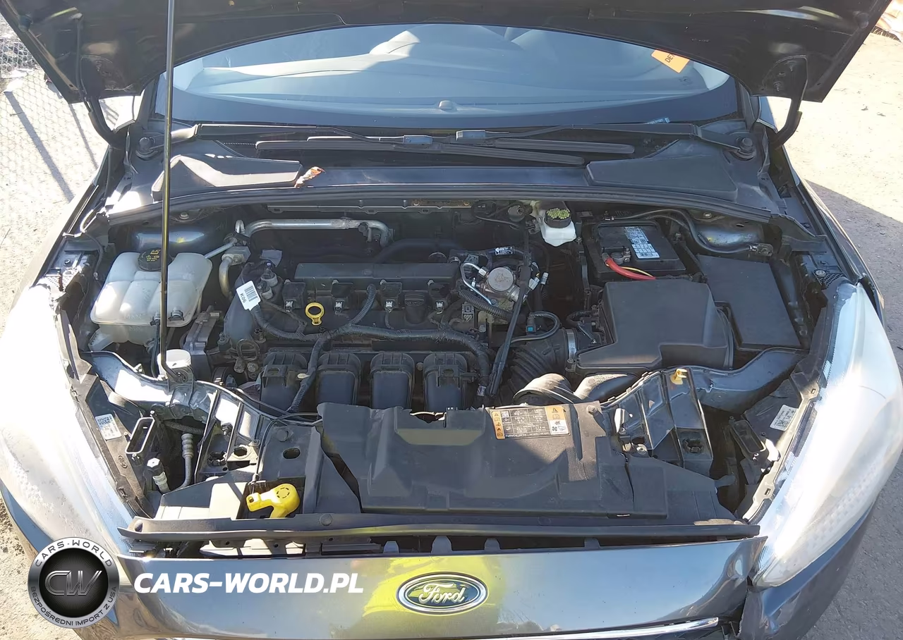 2017 Ford Focus Se VIN:1FADP3F28HL311327 - 10