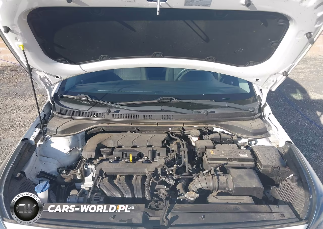 2020 Hyundai Accent Se VIN:3KPC24A64LE118453 - 10