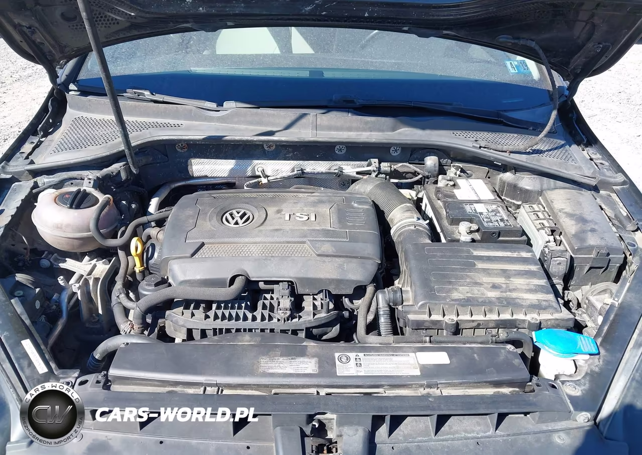 2016 Volkswagen Golf Sportwagen Tsi S 4-Door VIN:3VWA17AU6GM500275 - 10