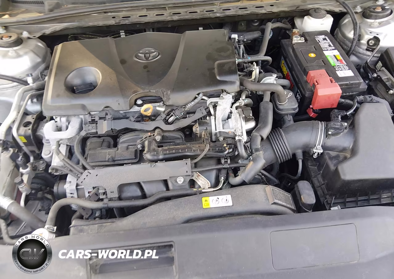 2019 Toyota Camry Le VIN:4T1B11HK5KU290096 - 10
