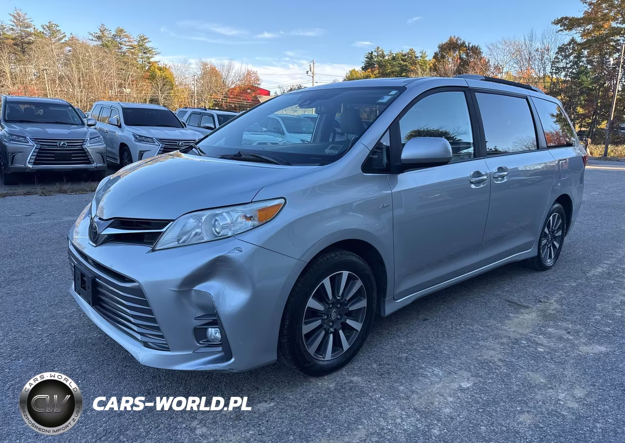 2019 Toyota Sienna Xle 7 Passenger VIN:5TDDZ3DCXKS227743 - 2