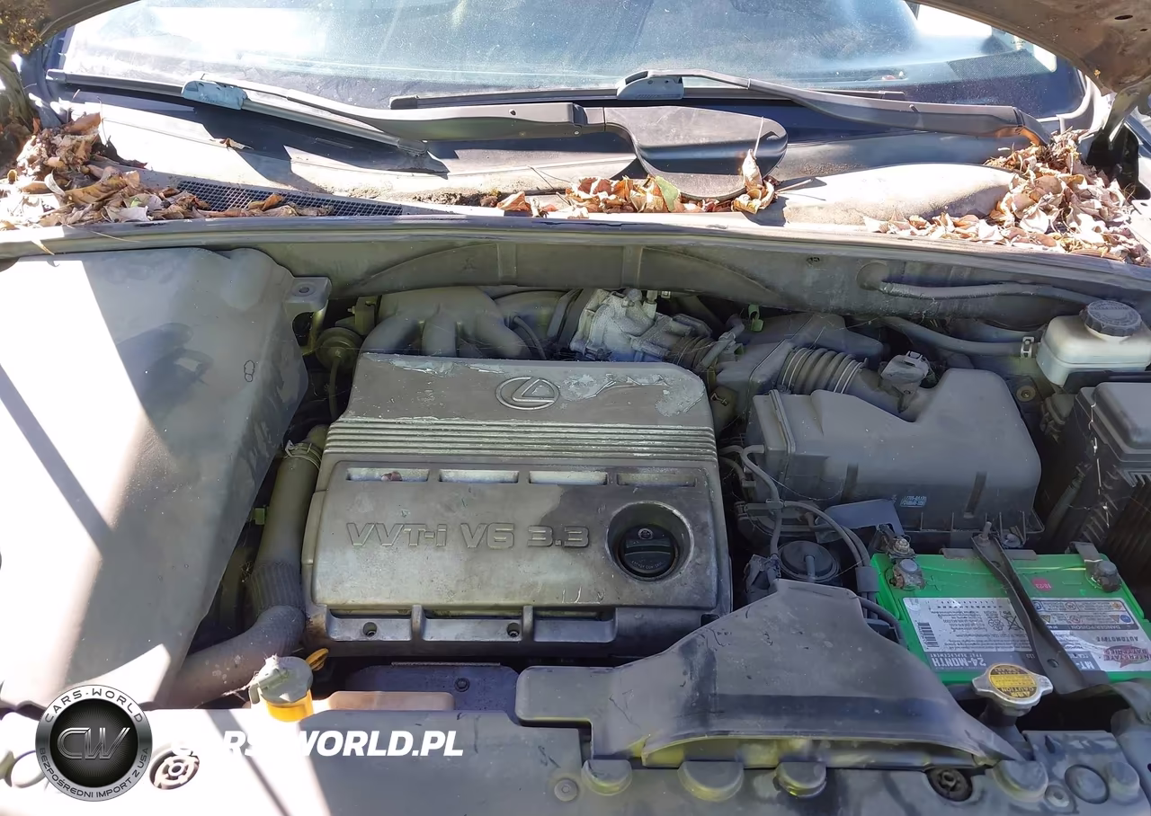 2004 Lexus Rx 330 VIN:2T2GA31U44C007698 - 10