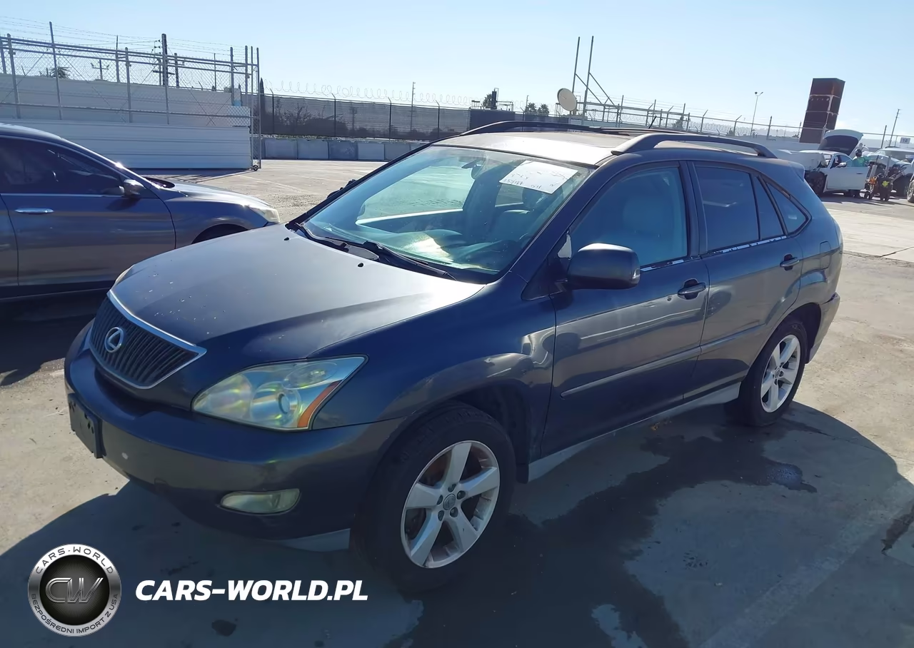 2004 Lexus Rx 330 VIN:2T2GA31U44C007698 - 2