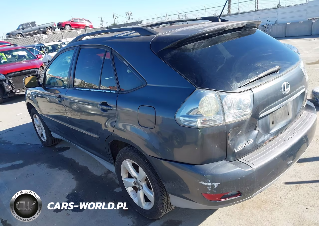 2004 Lexus Rx 330 VIN:2T2GA31U44C007698 - 3