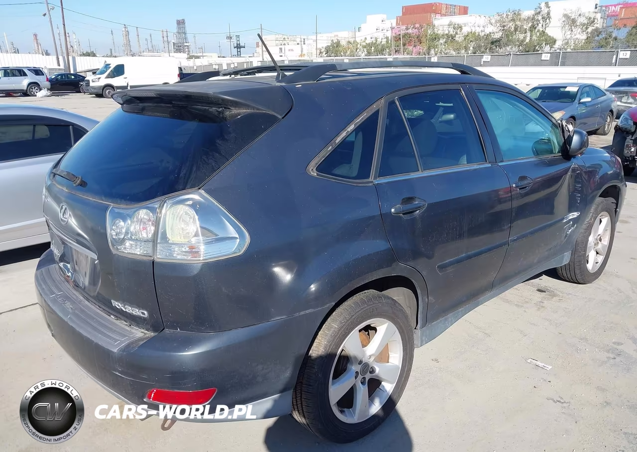 2004 Lexus Rx 330 VIN:2T2GA31U44C007698 - 4