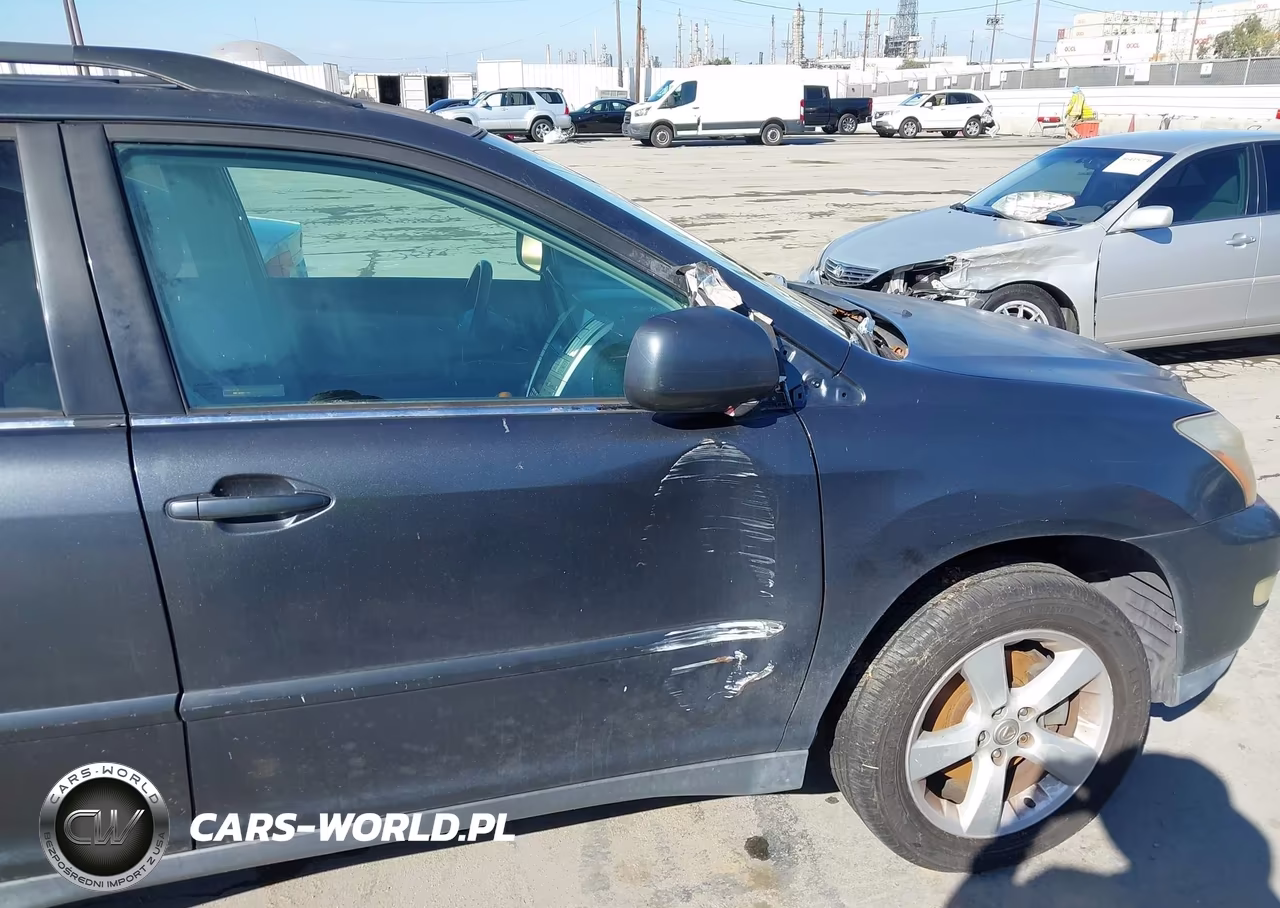2004 Lexus Rx 330 VIN:2T2GA31U44C007698 - 6