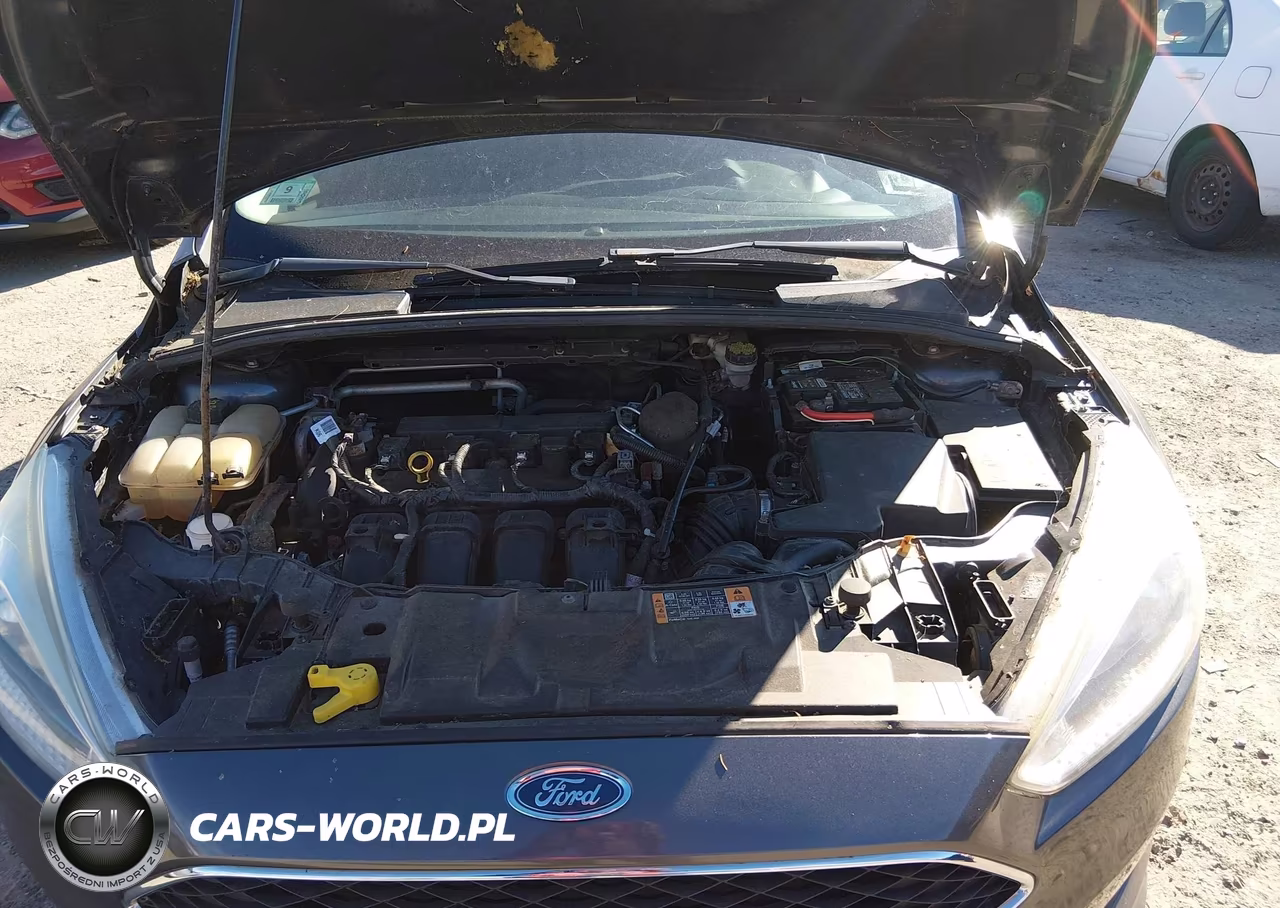 2016 Ford Focus Se VIN:1FADP3K20GL278974 - 10