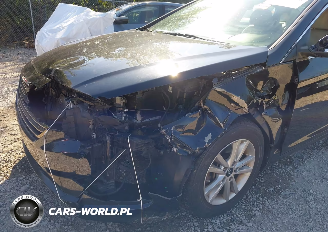 2015 Hyundai Sonata Eco VIN:5NPE24AA6FH193362 - 6
