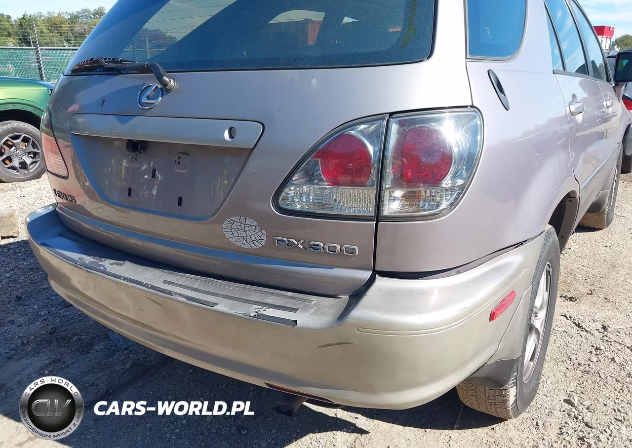 2001 LEXUS RX 300 VIN:JTJHF10U910167787 - 16