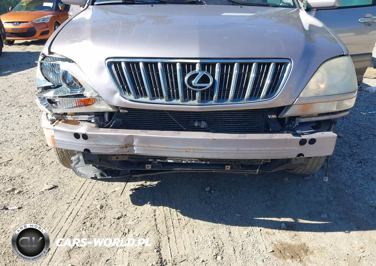 2001 LEXUS RX 300 VIN:JTJHF10U910167787 - 6