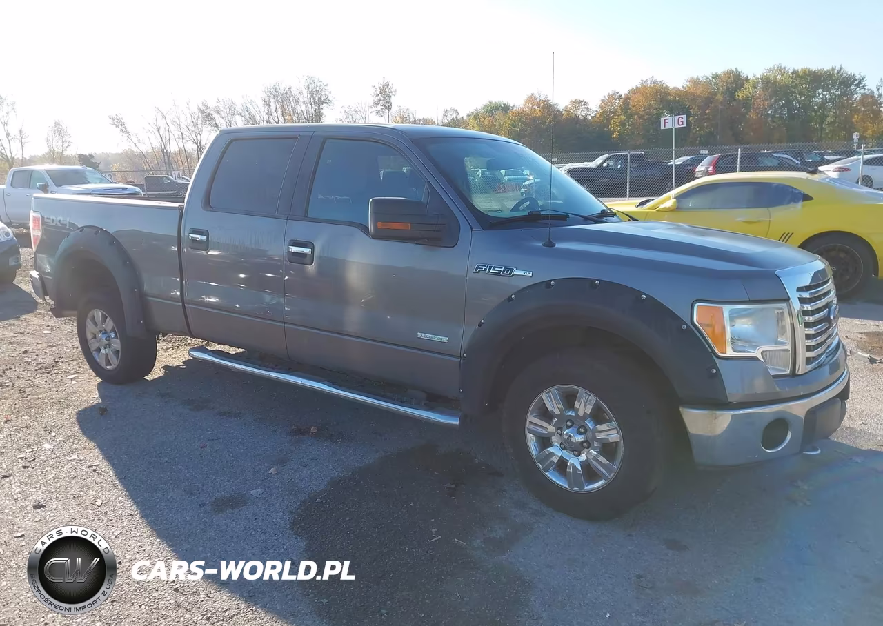 2011 Ford F-150 Xlt