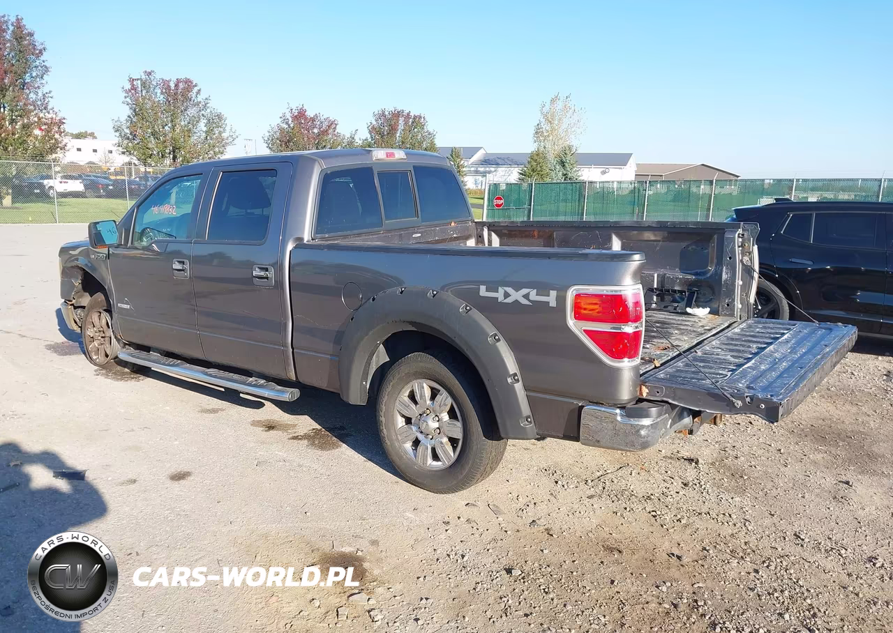 2011 Ford F-150 Xlt VIN:1FTFW1ET8BFC43329 - 3