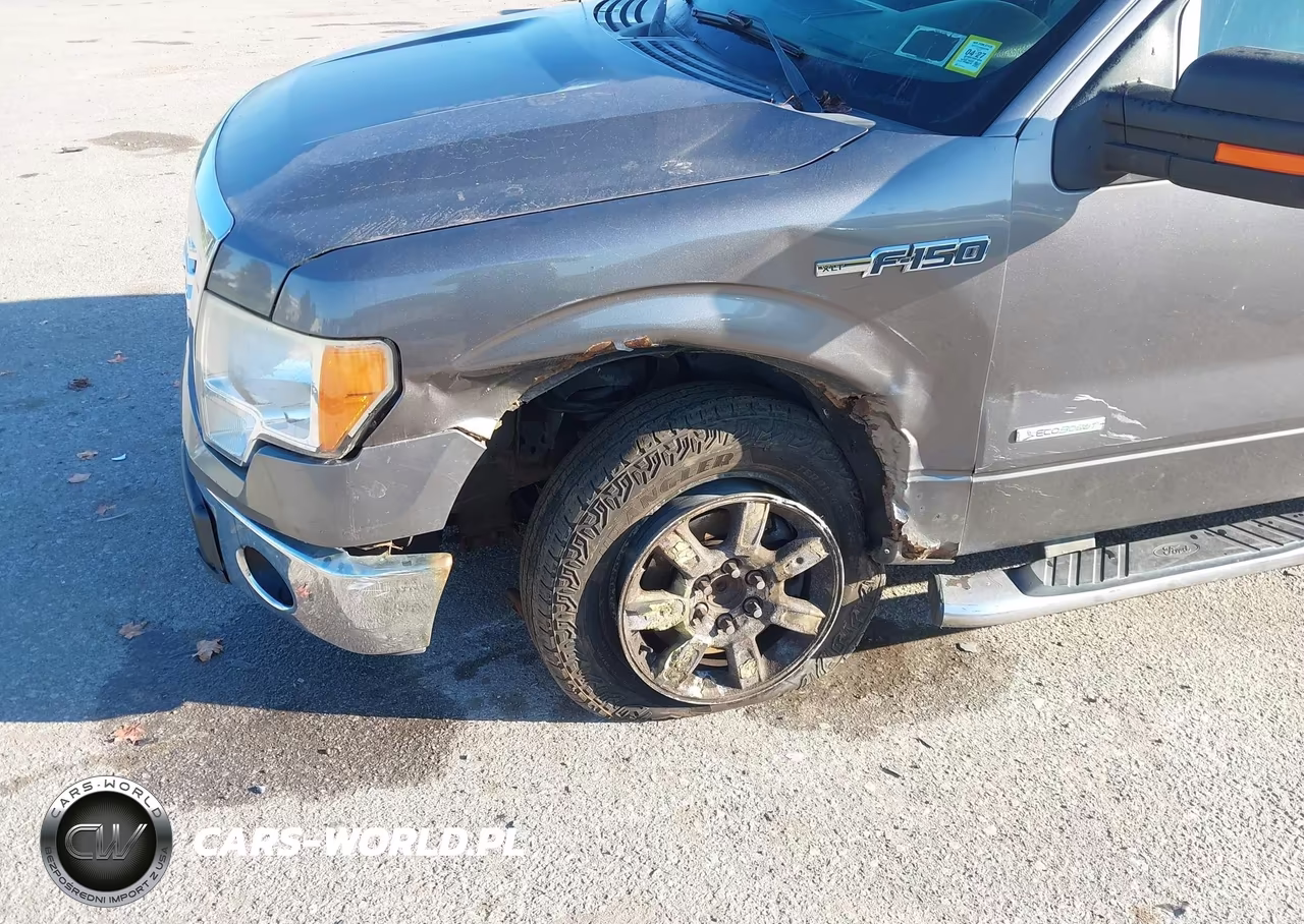 2011 Ford F-150 Xlt VIN:1FTFW1ET8BFC43329 - 6