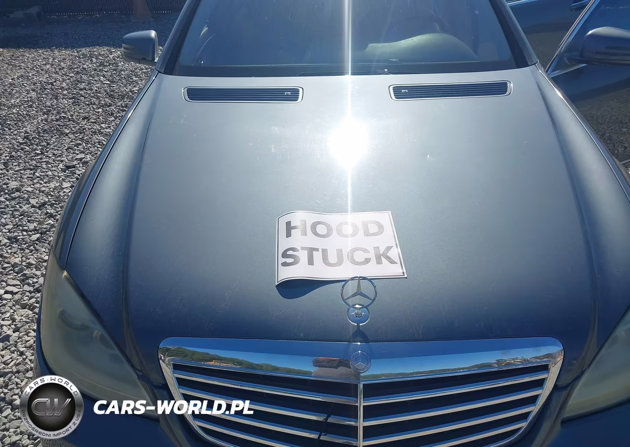 2010 Mercedes-Benz S 550 VIN:WDDNG7BB1AA313469 - 10
