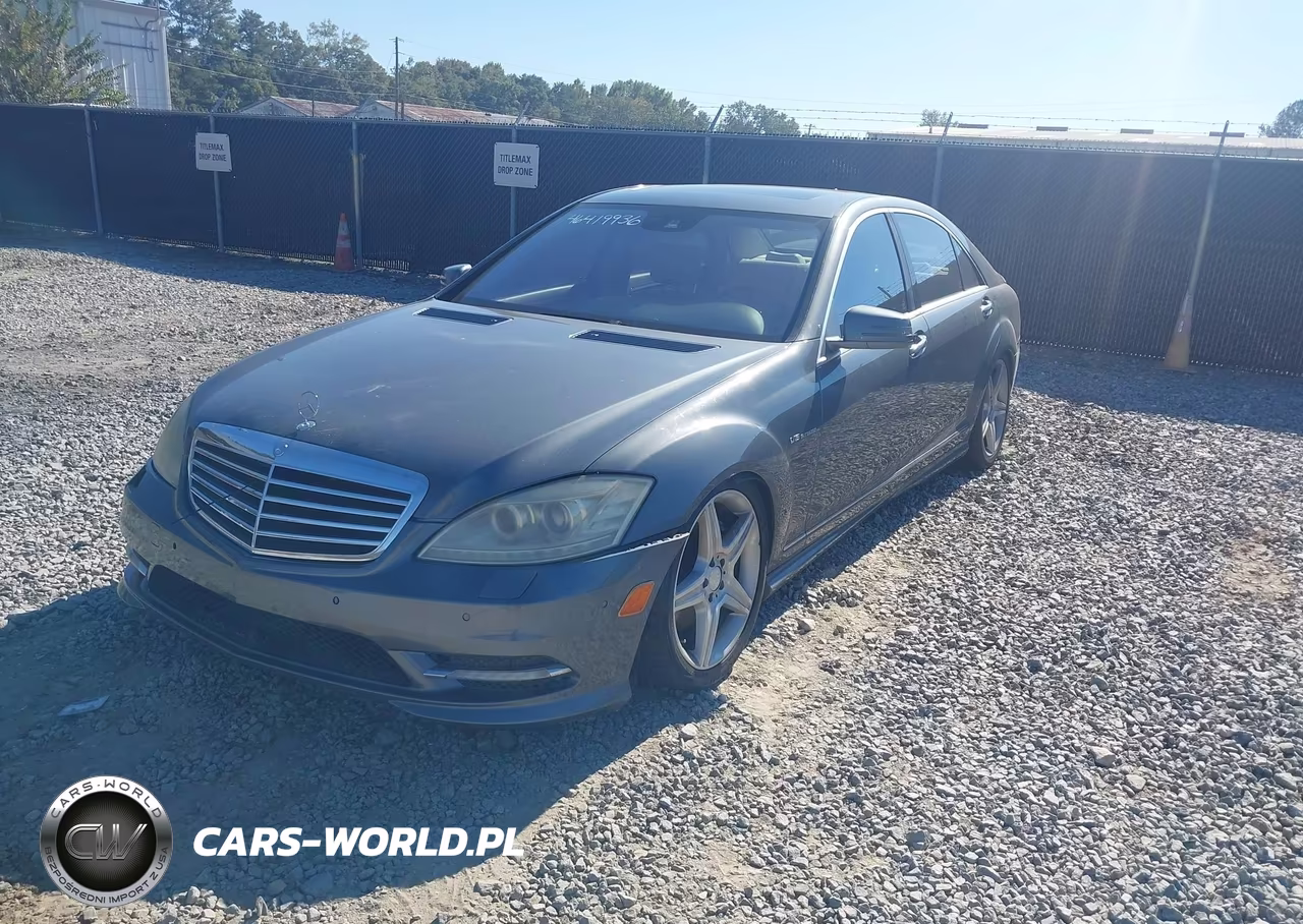 2010 Mercedes-Benz S 550 VIN:WDDNG7BB1AA313469 - 2