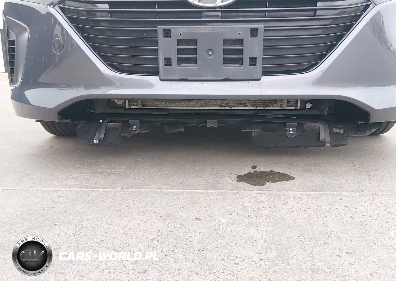 2018 Hyundai Ioniq Hybrid Blue VIN:KMHC65LC2JU100007 - 12