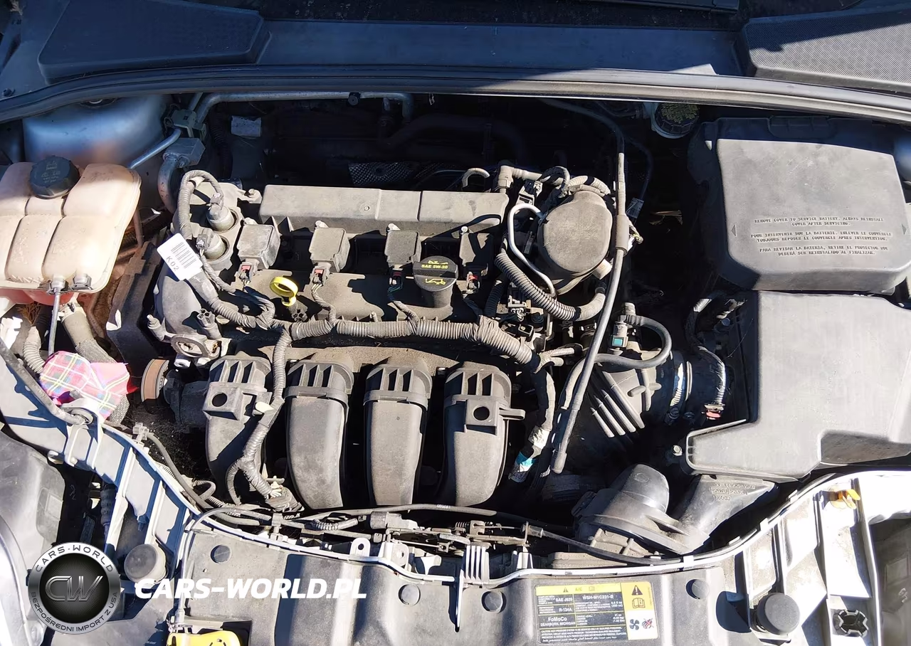 2014 Ford Focus Se VIN:1FADP3F24EL216470 - 10