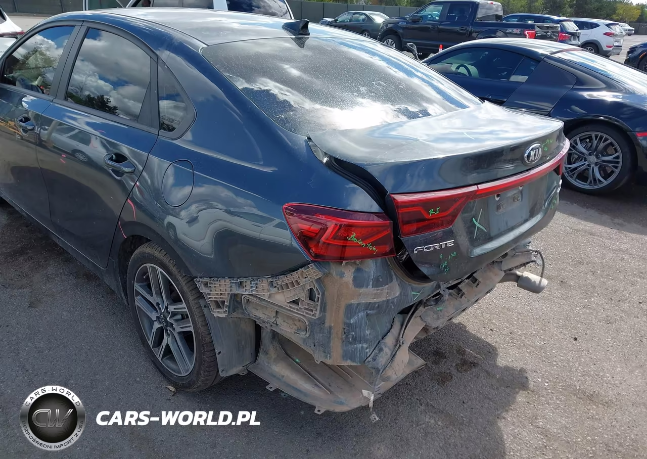 2019 Kia Forte S VIN:3KPF34AD0KE081716 - 19