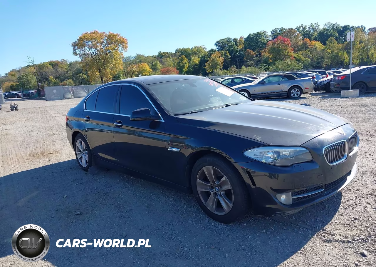2013 BMW 528I xDrive VIN:WBAXH5C56DD112700 - 1