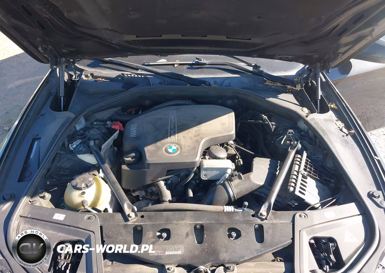 2013 BMW 528I xDrive VIN:WBAXH5C56DD112700 - 10