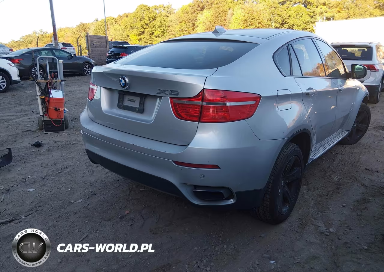 2011 BMW X6 xDrive50I VIN:5UXFG8C50BLZ95634 - 4