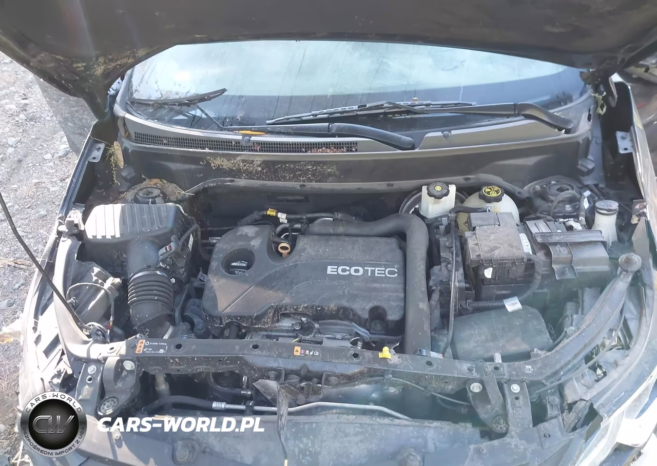 2019 Chevrolet Equinox Ls VIN:3GNAXHEV8KL300644 - 10