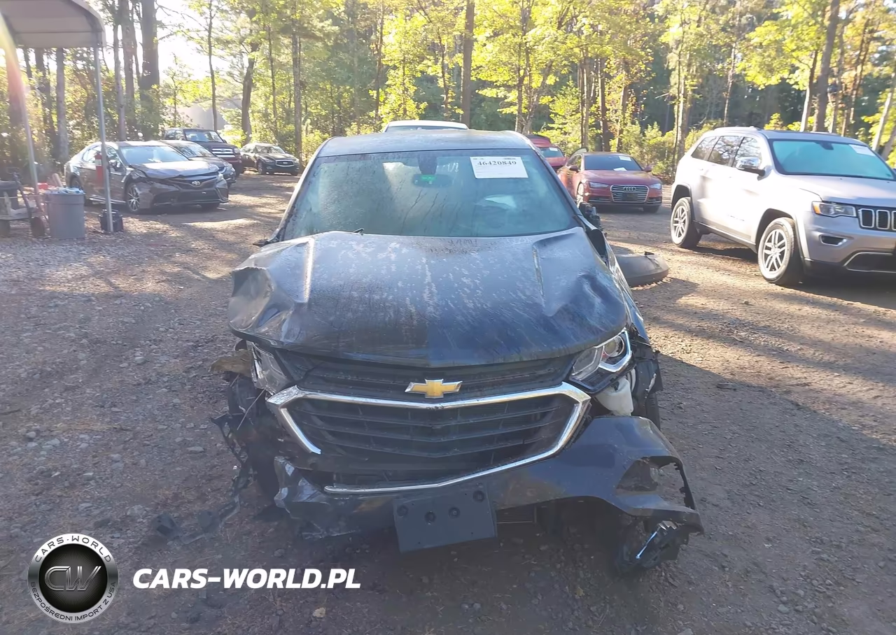 2019 Chevrolet Equinox Ls VIN:3GNAXHEV8KL300644 - 13