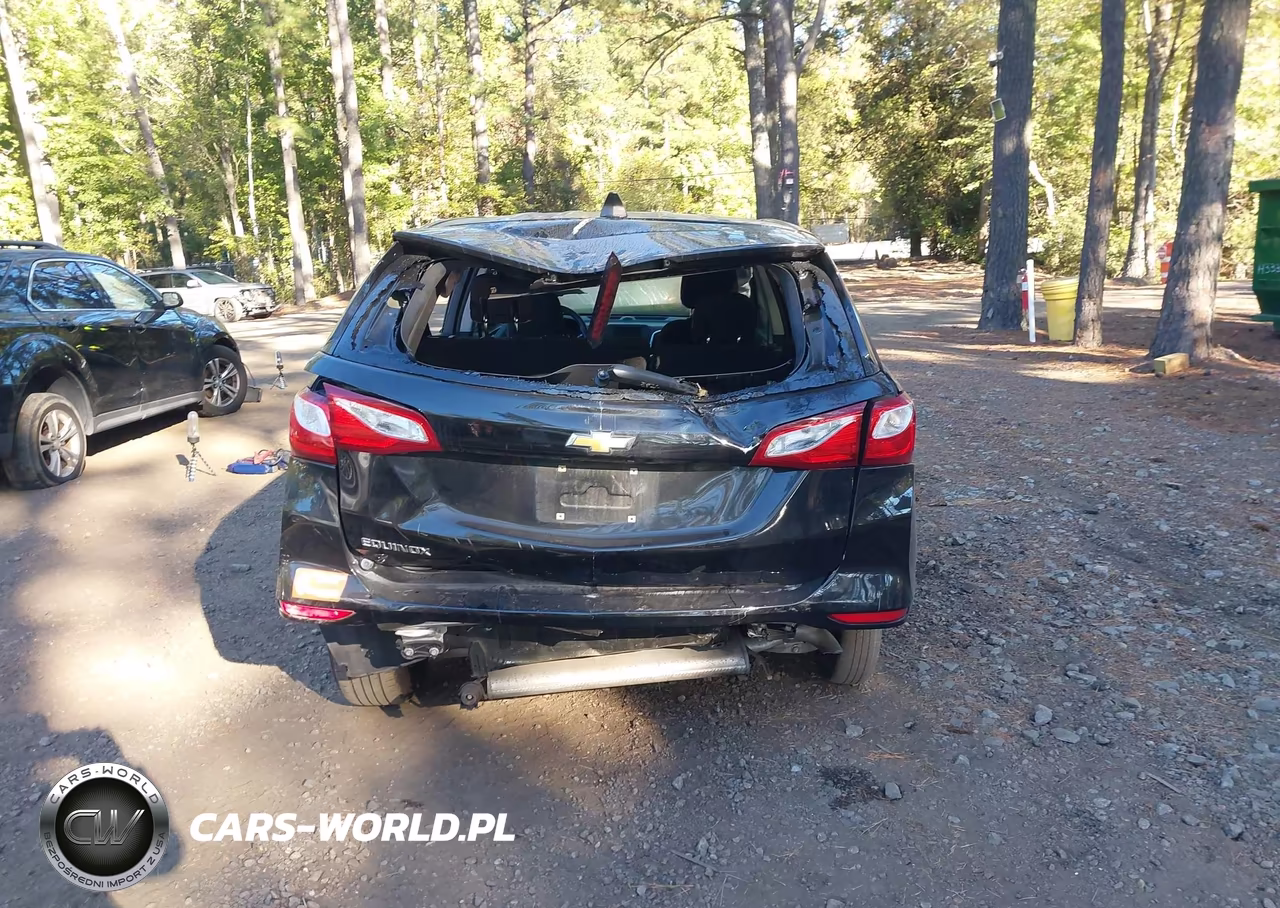 2019 Chevrolet Equinox Ls VIN:3GNAXHEV8KL300644 - 17