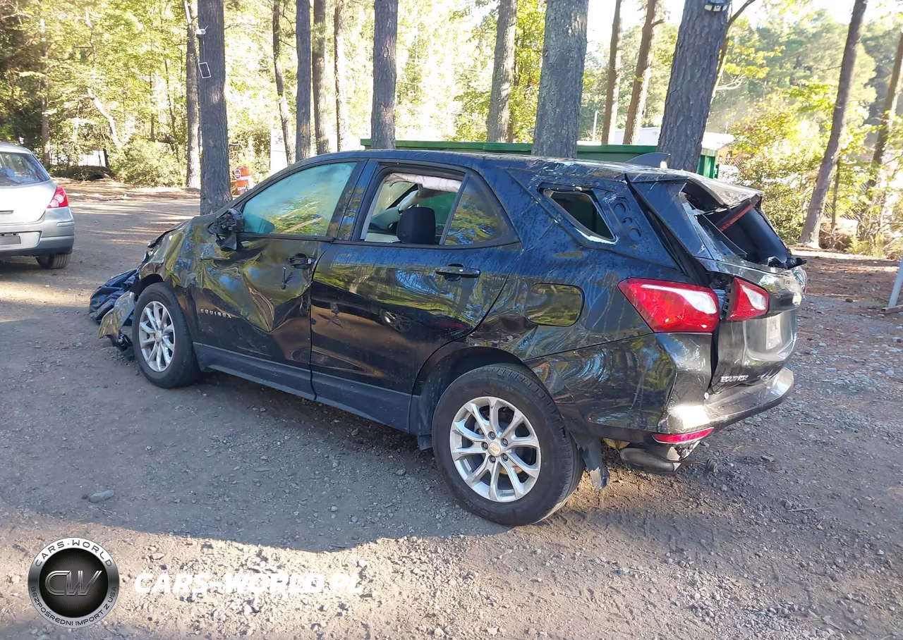 2019 Chevrolet Equinox Ls VIN:3GNAXHEV8KL300644 - 3