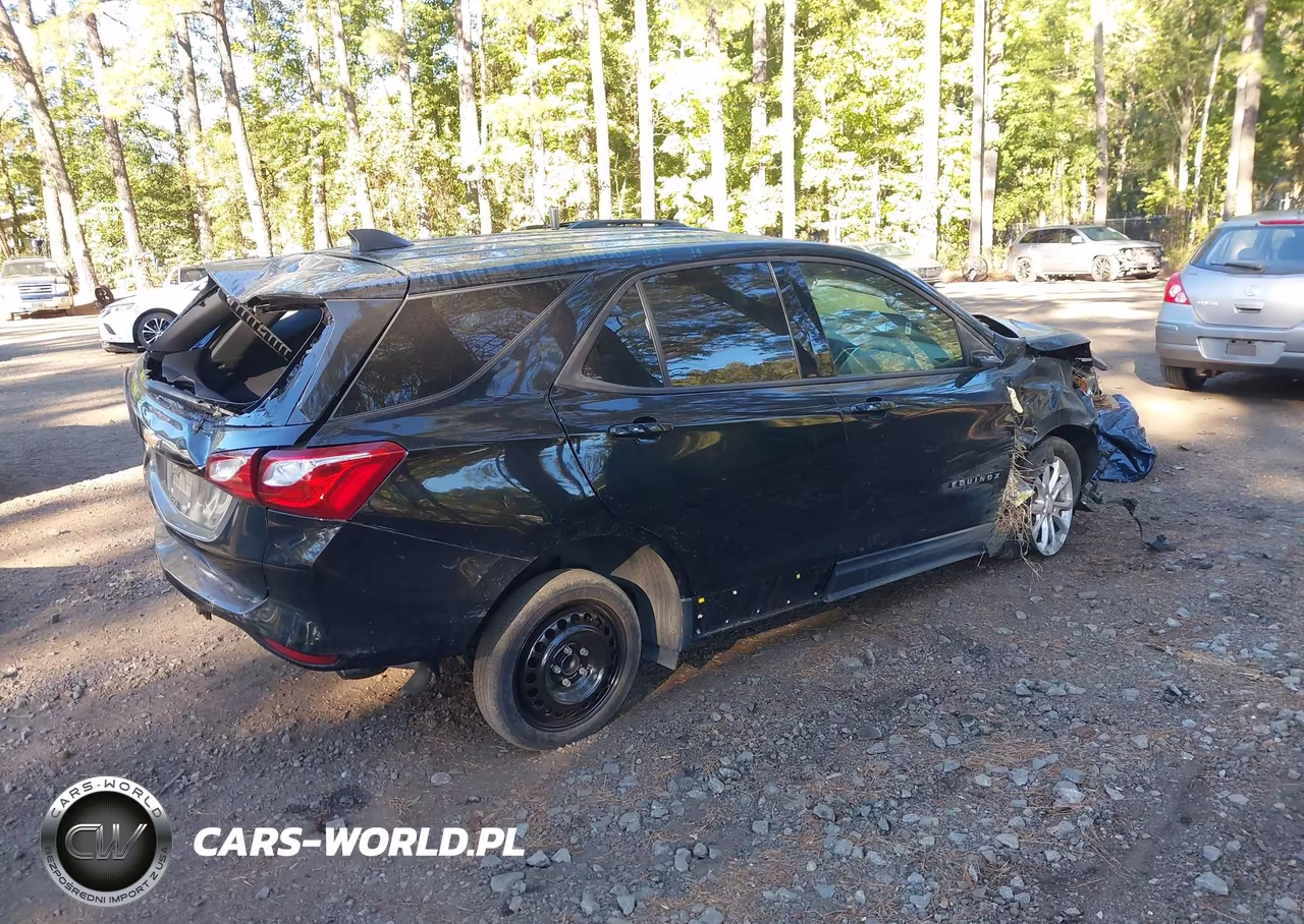 2019 Chevrolet Equinox Ls VIN:3GNAXHEV8KL300644 - 4