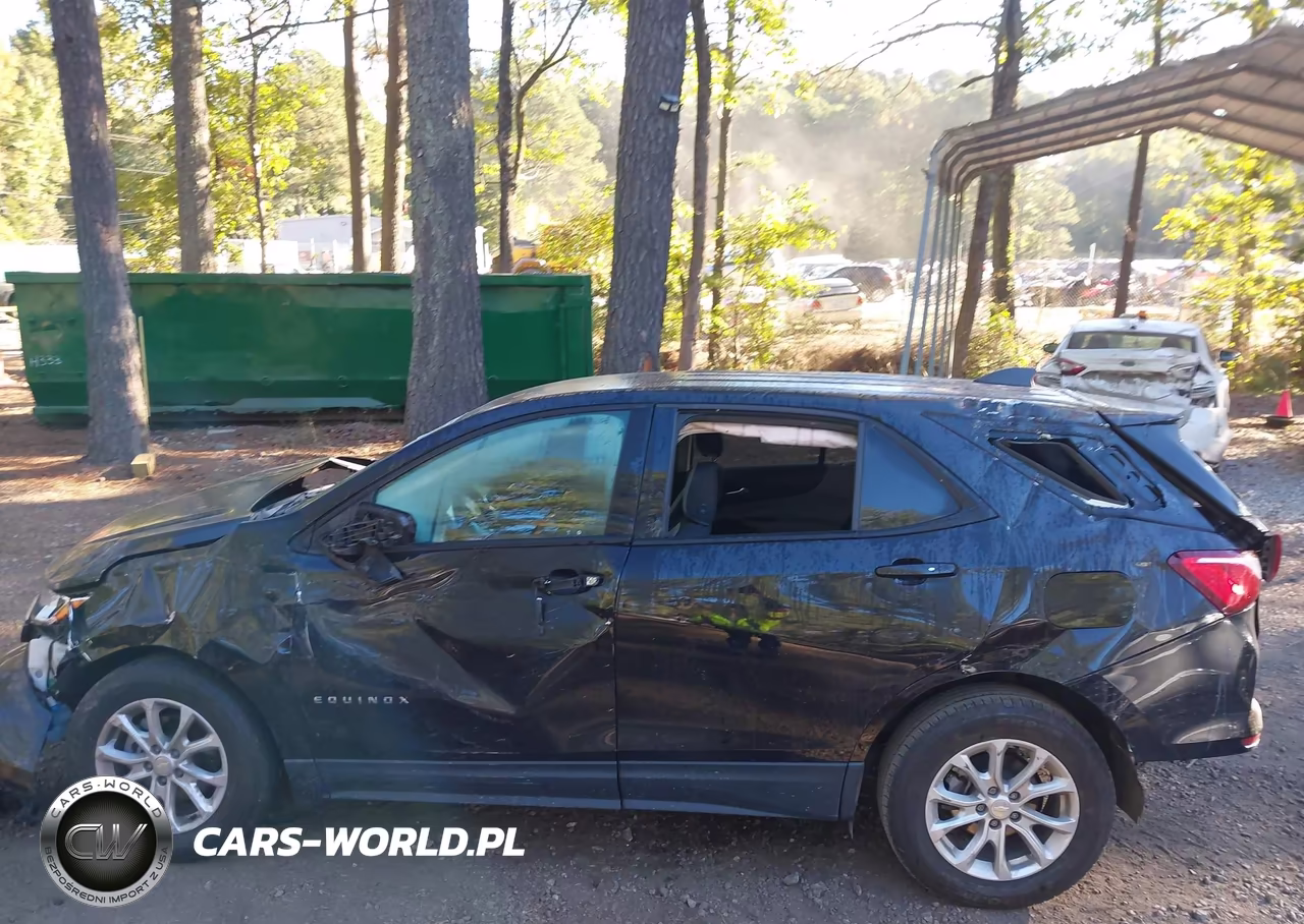 2019 Chevrolet Equinox Ls VIN:3GNAXHEV8KL300644 - 6