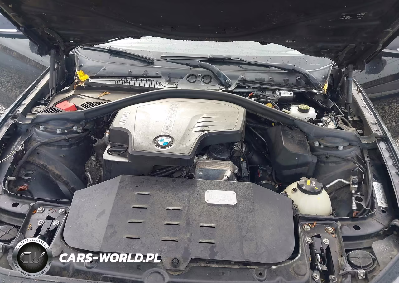2016 BMW 228I VIN:WBA1F9C53GV544632 - 10