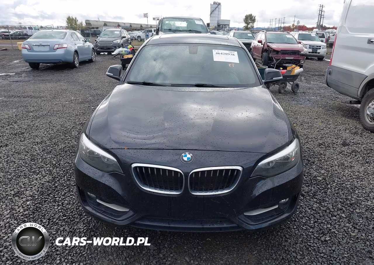 2016 BMW 228I VIN:WBA1F9C53GV544632 - 12
